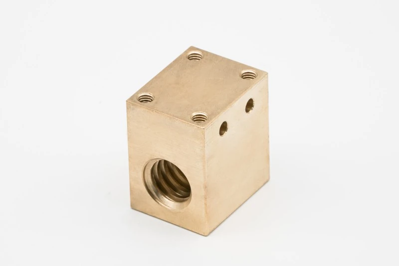 Oil-Free Trapezoidal Nut for Semiconductor Tools